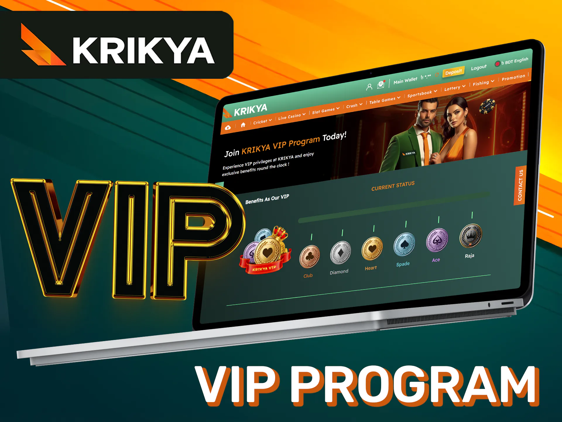 Bonuses for participants of the VIP program on Krikya.