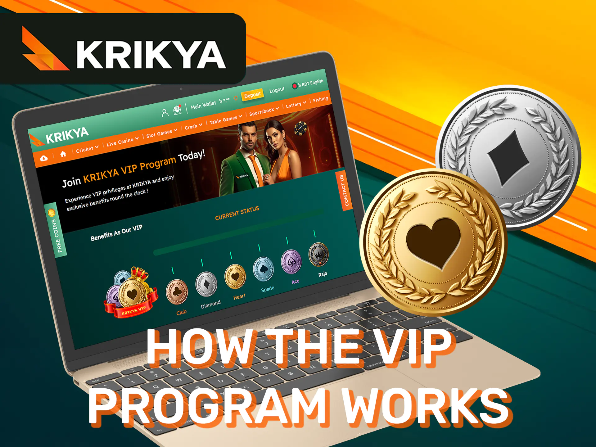 The principle of operation of the VIP program at Krikya website.